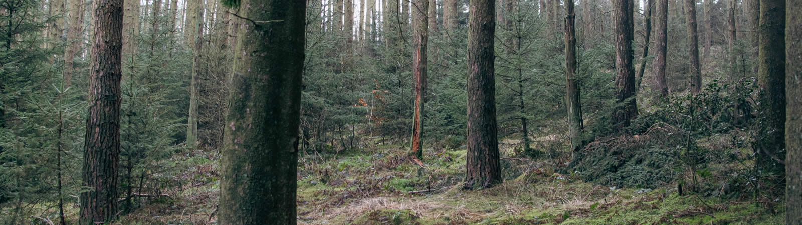 Commercial Door Sustainability - ProServicing